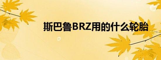 斯巴鲁BRZ用的什么轮胎