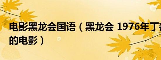 电影黑龙会国语（黑龙会 1976年丁善玺执导的电影）