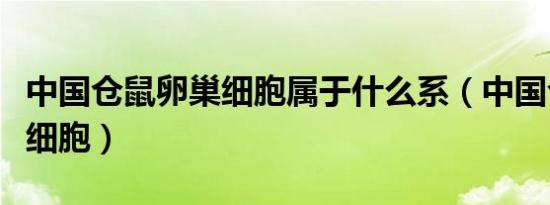 中国仓鼠卵巢细胞属于什么系（中国仓鼠卵巢细胞）