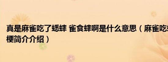 真是麻雀吃了蟋蟀 雀食蟀啊是什么意思（麻雀吃蟋蟀是什么梗简介介绍）