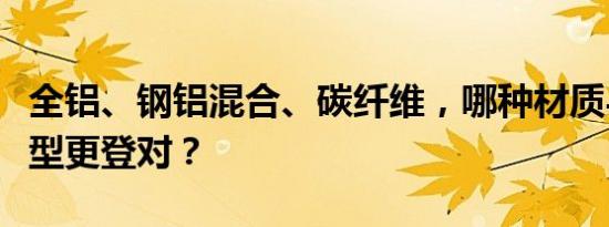 全铝、钢铝混合、碳纤维，哪种材质与高端车型更登对？