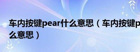 车内按键pear什么意思（车内按键pear是什么意思）