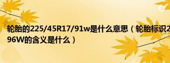 轮胎的225/45R17/91w是什么意思（轮胎标识225/45R1796W的含义是什么）