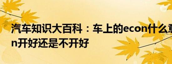 汽车知识大百科：车上的econ什么意思 econ开好还是不开好