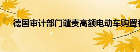 德国审计部门谴责高额电动车购置补贴