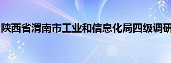 陕西省渭南市工业和信息化局四级调研员强尼