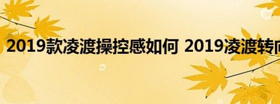 2019款凌渡操控感如何 2019凌渡转向怎样 