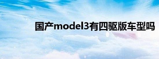 国产model3有四驱版车型吗