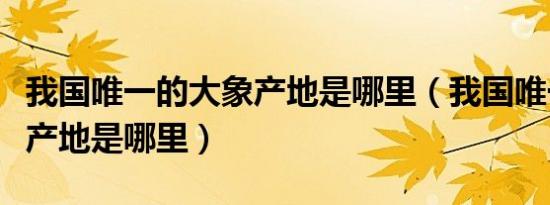 我国唯一的大象产地是哪里（我国唯一的大象产地是哪里）