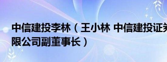 中信建投李林（王小林 中信建投证券股份有限公司副董事长）