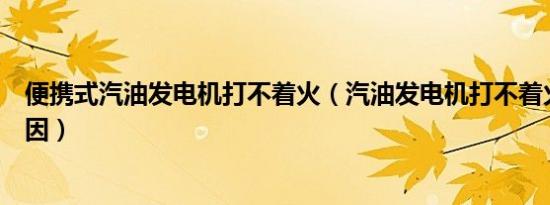 便携式汽油发电机打不着火（汽油发电机打不着火是什么原因）