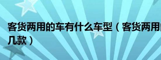 客货两用的车有什么车型（客货两用的车有哪几款）