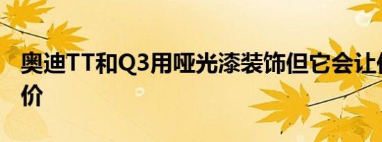 奥迪TT和Q3用哑光漆装饰但它会让你付出代价