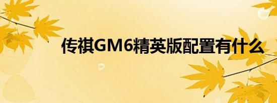 传祺GM6精英版配置有什么 