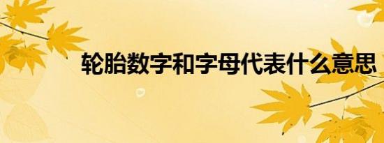 轮胎数字和字母代表什么意思