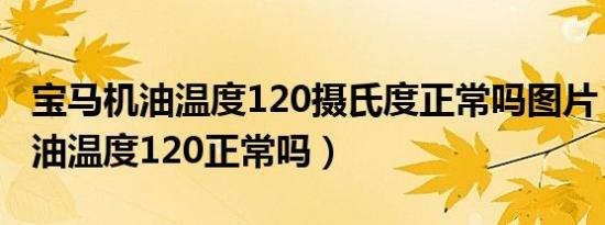 宝马机油温度120摄氏度正常吗图片（宝马机油温度120正常吗）