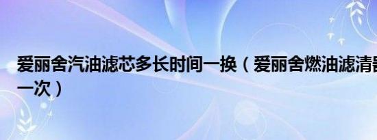 爱丽舍汽油滤芯多长时间一换（爱丽舍燃油滤清器多久更换一次）