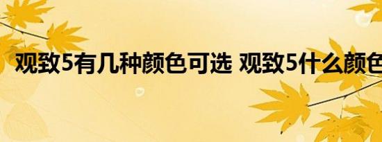 观致5有几种颜色可选 观致5什么颜色好看 