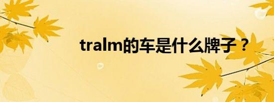 tralm的车是什么牌子？