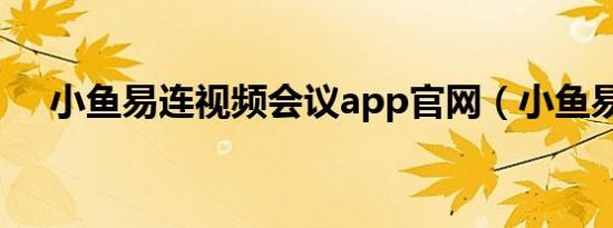 小鱼易连视频会议app官网（小鱼易连）