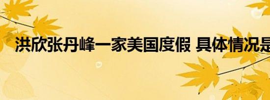 洪欣张丹峰一家美国度假 具体情况是什么