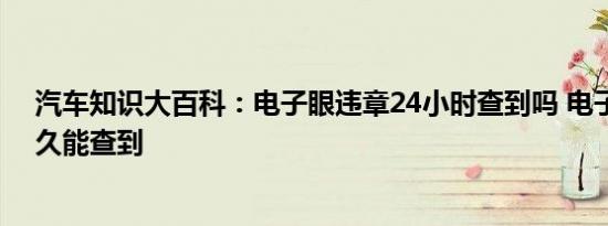 汽车知识大百科：电子眼违章24小时查到吗 电子眼违章多久能查到