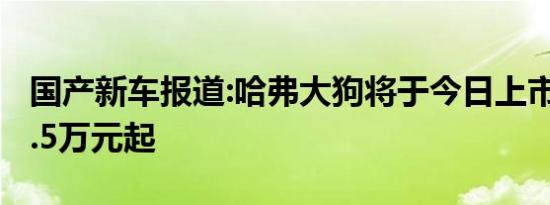 国产新车报道:哈弗大狗将于今日上市 预售12.5万元起