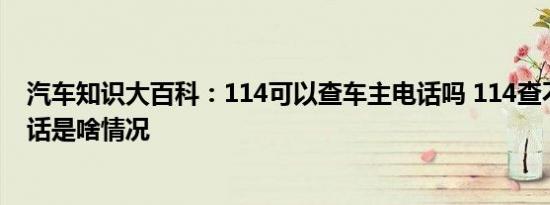 汽车知识大百科：114可以查车主电话吗 114查不到车主电话是啥情况