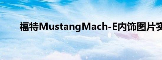 福特MustangMach-E内饰图片实拍