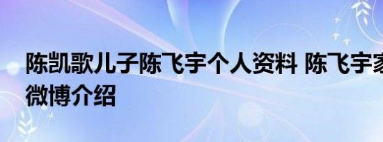 陈凯歌儿子陈飞宇个人资料 陈飞宇家庭背景微博介绍