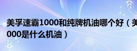 美孚速霸1000和纯牌机油哪个好（美孚速霸1000是什么机油）