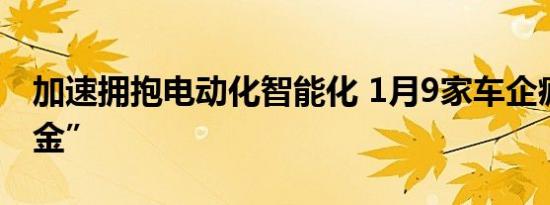 加速拥抱电动化智能化 1月9家车企疯狂“吸金”