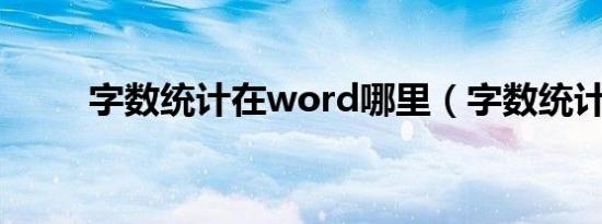 字数统计在word哪里（字数统计）