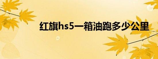 红旗hs5一箱油跑多少公里