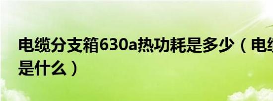 电缆分支箱630a热功耗是多少（电缆分支箱是什么）