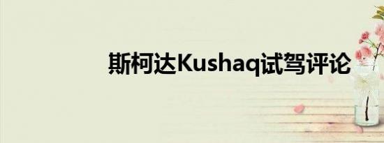 斯柯达Kushaq试驾评论