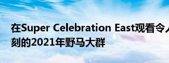 在Super Celebration East观看令人印象深刻的2021年野马大群