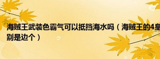 海贼王武装色霸气可以抵挡海水吗（海贼王的4皇和7武海分别是边个）