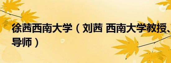 徐茜西南大学（刘茜 西南大学教授、硕士生导师）