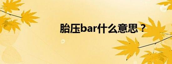 胎压bar什么意思？