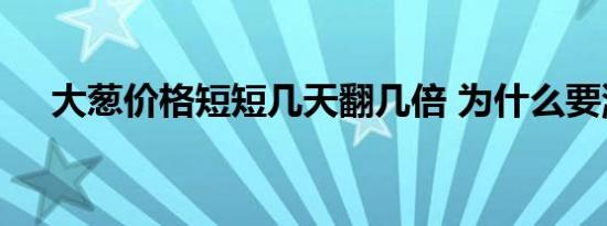 大葱价格短短几天翻几倍 为什么要涨价