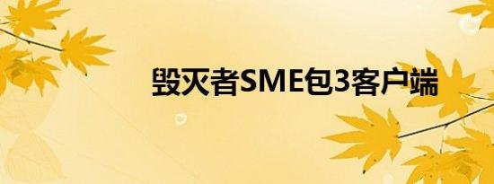 毁灭者SME包3客户端