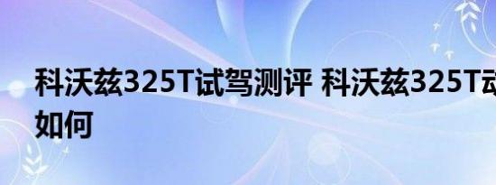 科沃兹325T试驾测评 科沃兹325T动力表现如何 