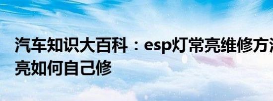 汽车知识大百科：esp灯常亮维修方法 eps灯亮如何自己修