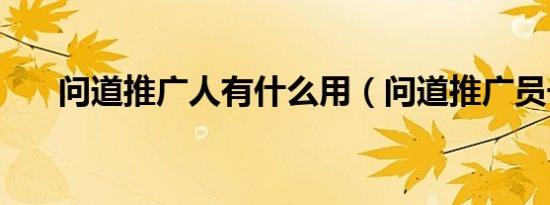 问道推广人有什么用（问道推广员号）