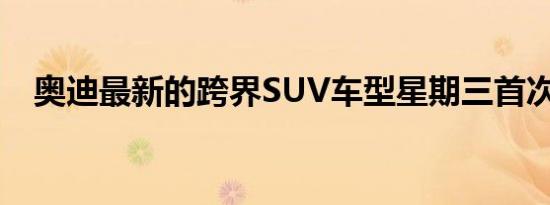 奥迪最新的跨界SUV车型星期三首次亮相