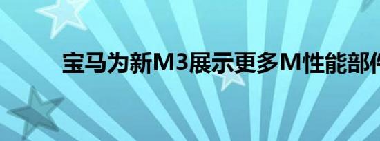 宝马为新M3展示更多M性能部件