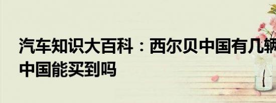 汽车知识大百科：西尔贝中国有几辆 西尔贝中国能买到吗