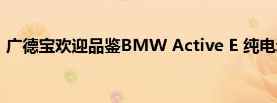 广德宝欢迎品鉴BMW Active E 纯电动汽车