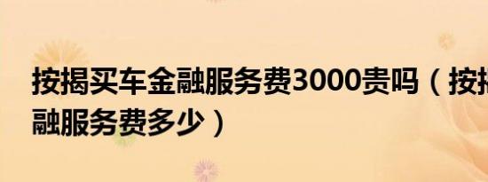 按揭买车金融服务费3000贵吗（按揭买车金融服务费多少）